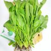 Cải bó xôi Đà Lạt – Rau Chân Vịt – Rau Cải Bina