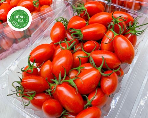 Cải bó xôi Đà Lạt – Rau Chân Vịt – Rau Cải Bina (Sao chép)
