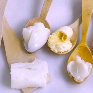 Mỡ Động Vật