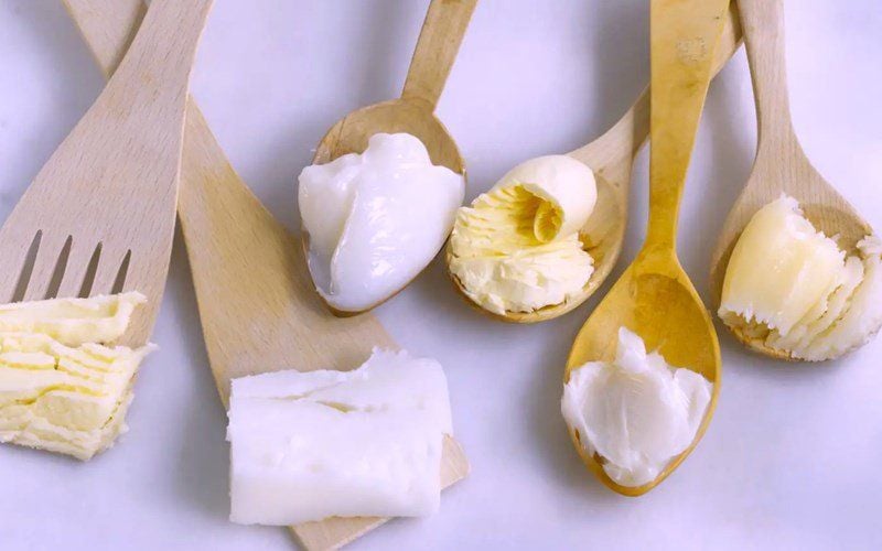 Mỡ Động Vật