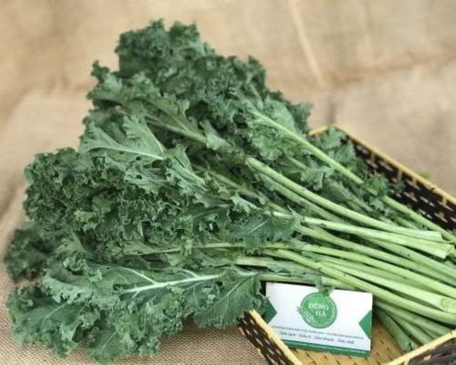 Rau cải xoăn xanh Kale – Cải Kale xanh Đà Lạt