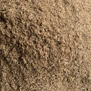 BÃ HÈM BIA TRONG CHĂN NUÔI