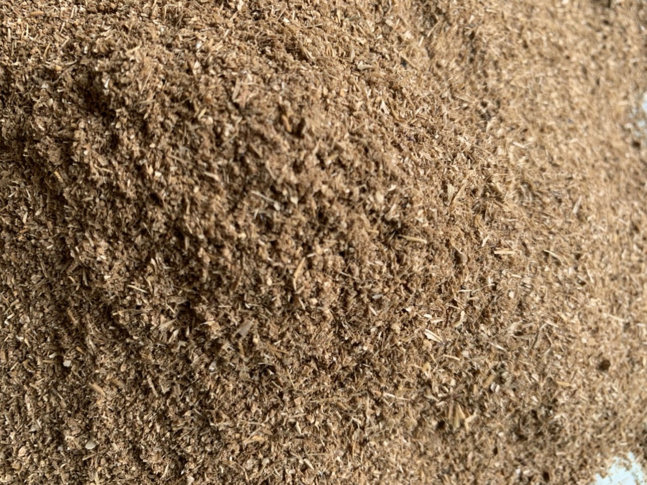 BÃ HÈM BIA TRONG CHĂN NUÔI